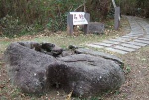 都蘭遺址的石棺