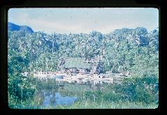 山口修(YAMAGUTI Osamu)教授1966年5月，於帛琉埃雷姆倫維州(Ngeremelengui)進行田野採集時所拍攝之照片。