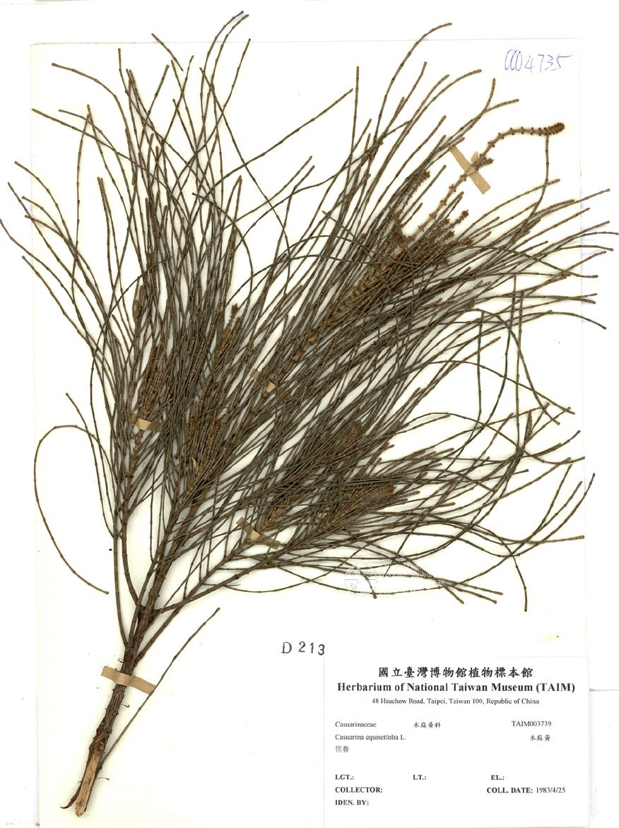 国立台湾博物馆植物标本典藏数位化计画(ii)