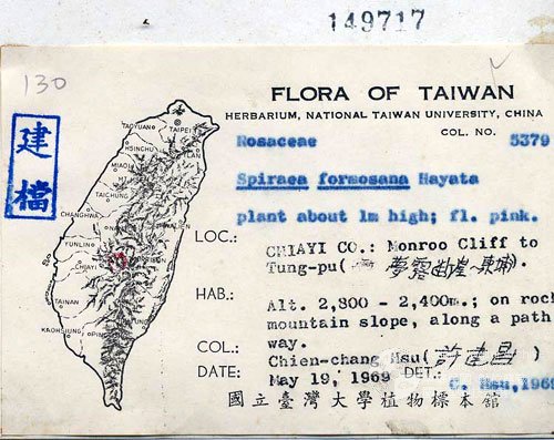 Ʀƪ󤤤W١GOWa_l]Х]]G056562^<br>^W١G<em>Rubus formosensis Ktze. </em>