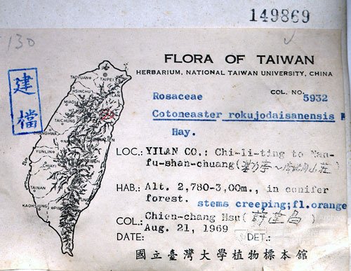 Ʀƪ󤤤W١GOWa_l]Х]]G056583^<br>^W١G<em>Rubus formosensis Ktze. </em>