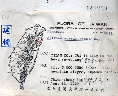 數位化物件中文名稱:蘭嶼梣葉懸鉤子(標本館館號:056633)<br>英文名稱:<em>Rubus fraxinifolius Hayata </em>