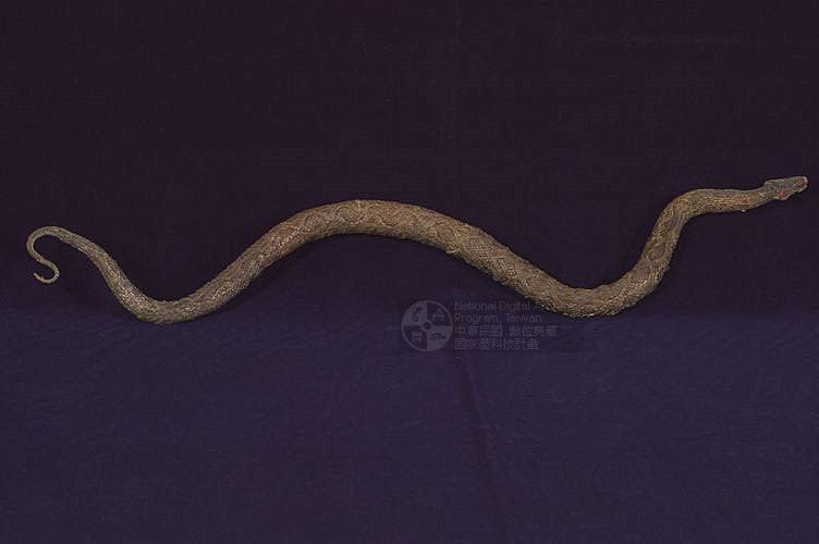 ƦƪD ]TMRS-0646^<br>^W١GRussell's viper<br>ԤBǦWGVipera russellii formosensis<br>LOWGDBJDB괳D<br>L^OWGChain snake